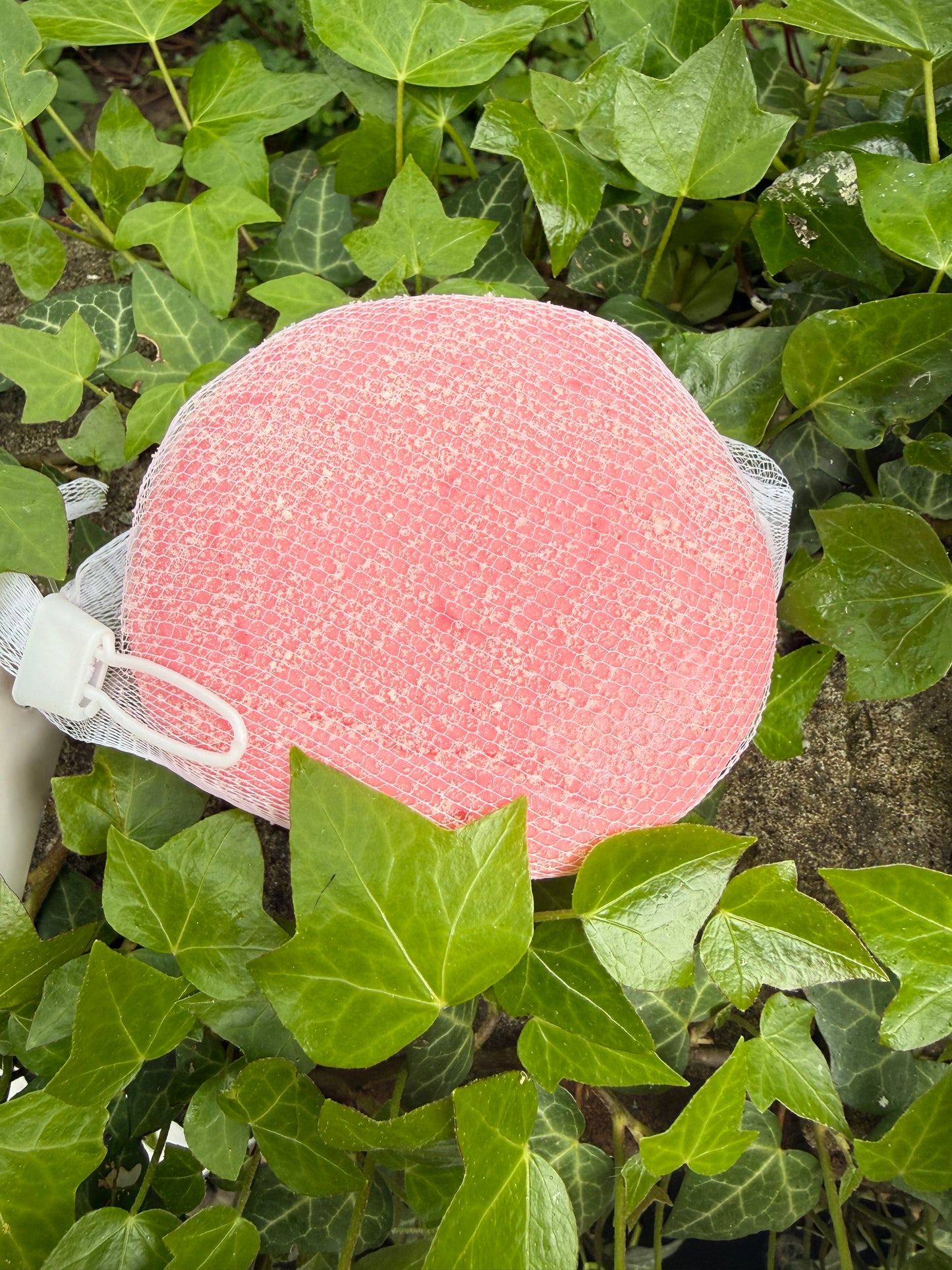 Large Macaroon Soft foam squishy