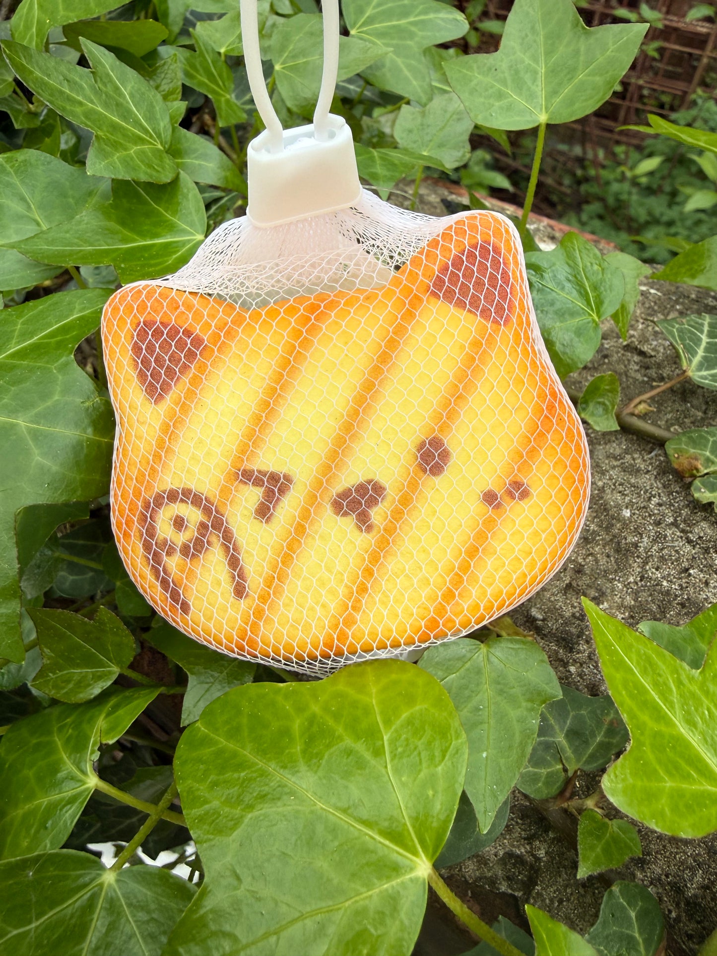 Cat toast super soft foam squishy