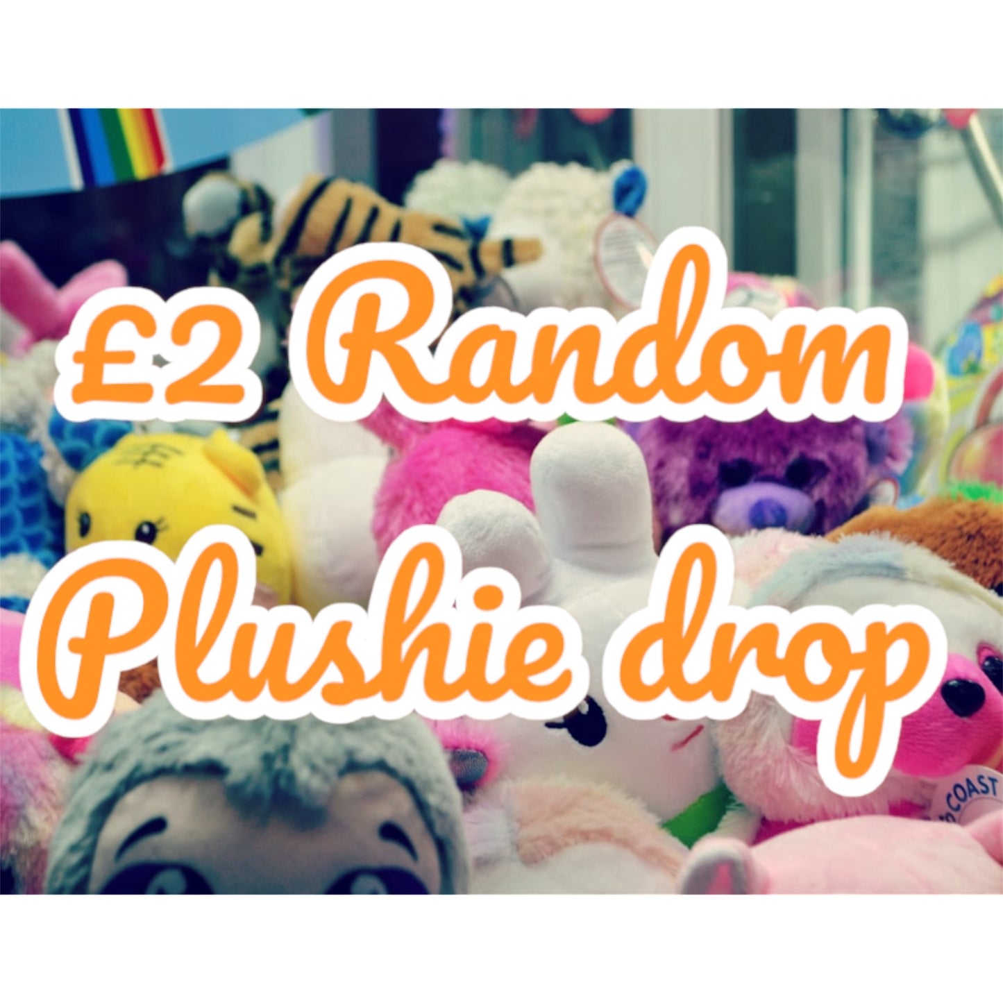 £2 Random Plushie drop
