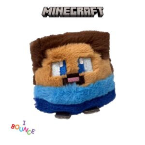 Minecraft Ty bouncer