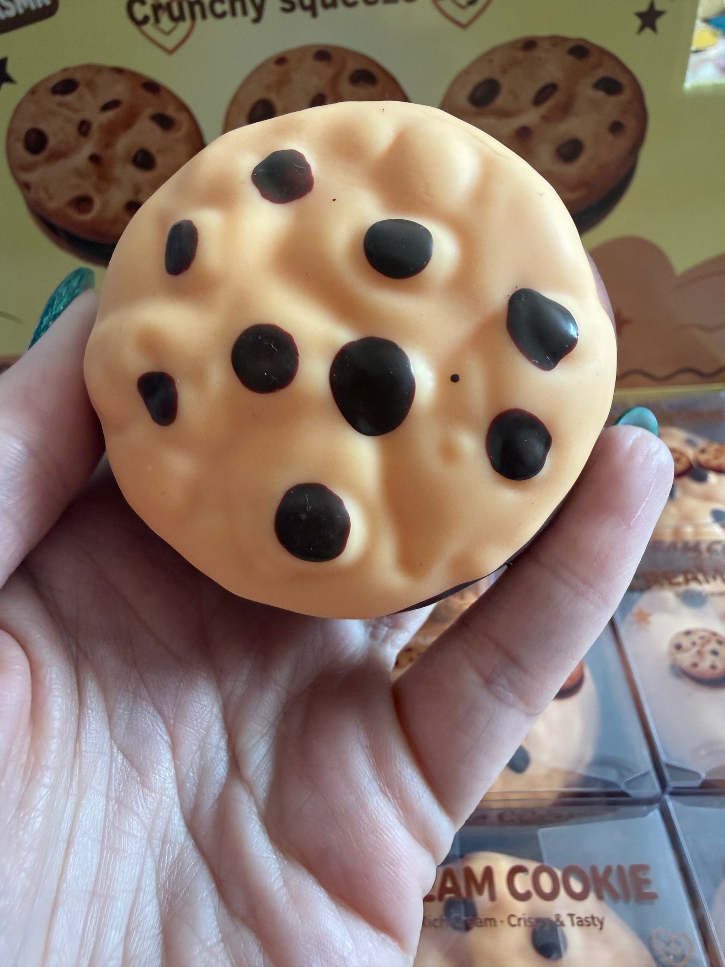 Crunchy cookie squishy