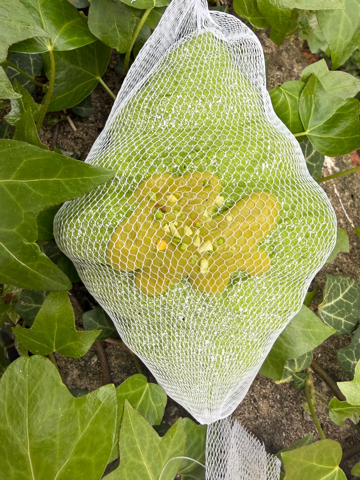 pistachio Knafa croissant soft foam Squishy ￼