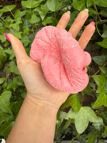 Large Macaroon Soft foam squishy