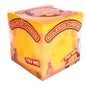 Medium foam filled cheese squishy