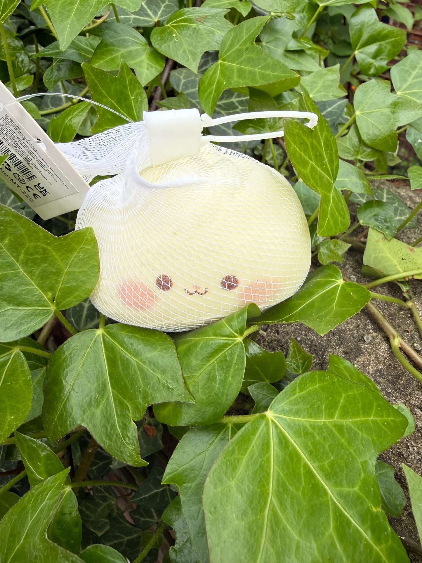 Soft foam release squishy dumpling
