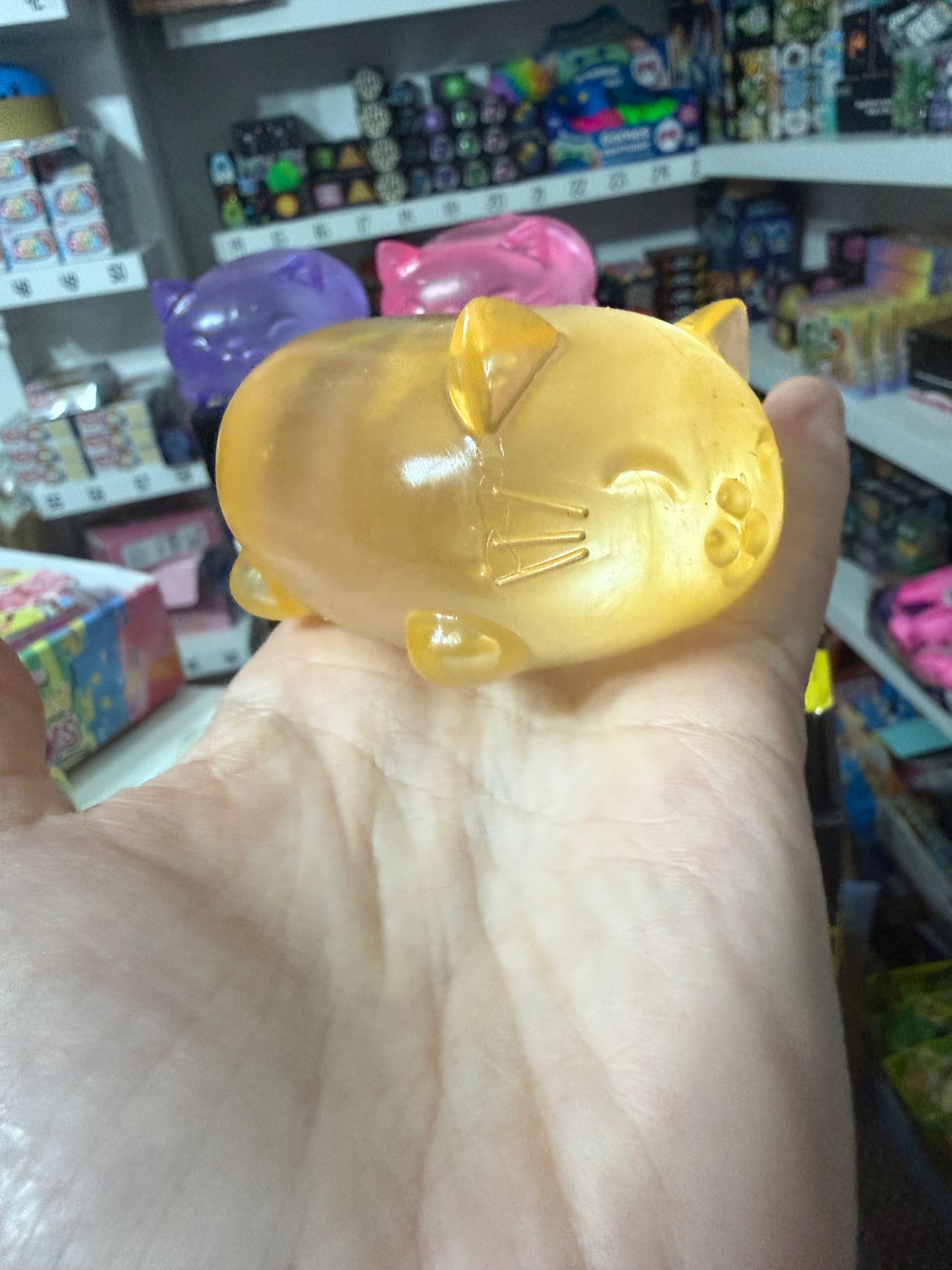 Cool cats sugar squish