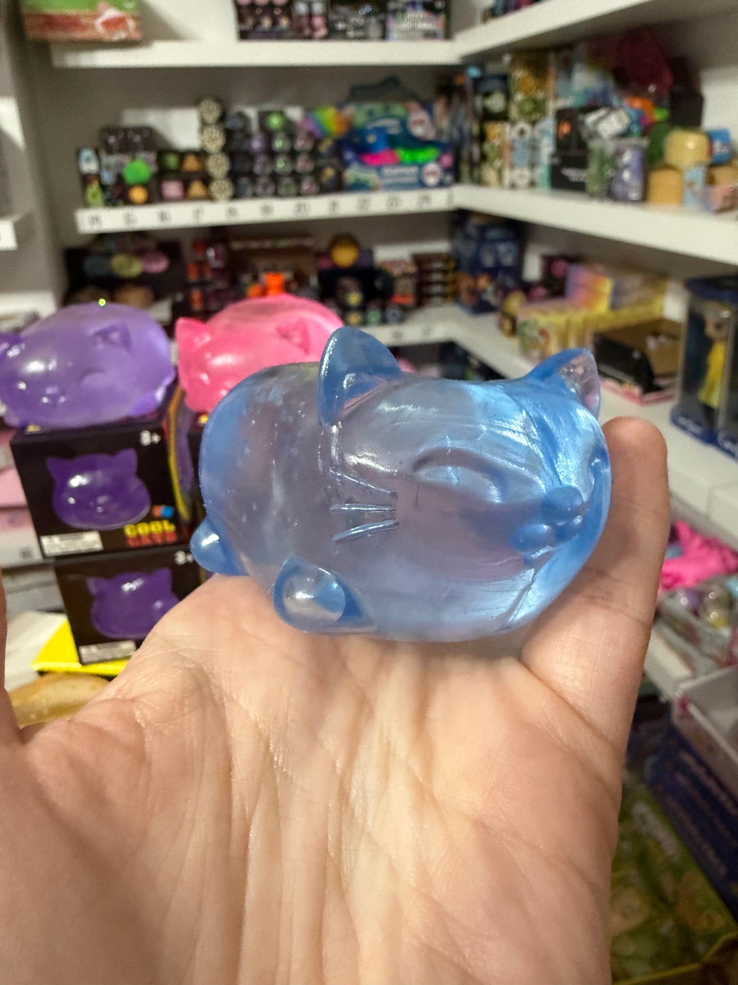 Cool cats sugar squish