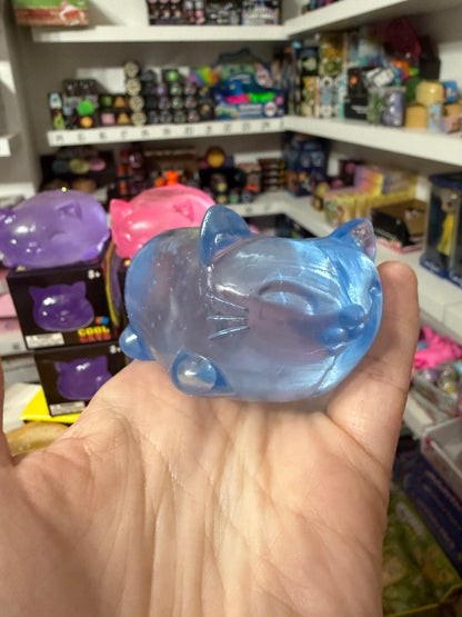 Cool cats sugar squish