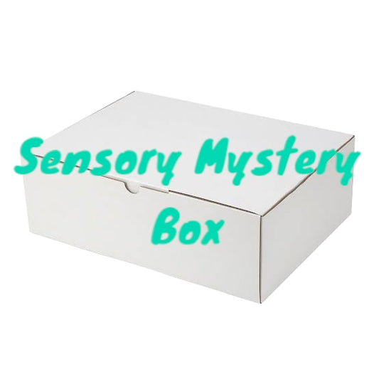 Sensory Mystery Box