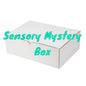 Sensory Mystery Box