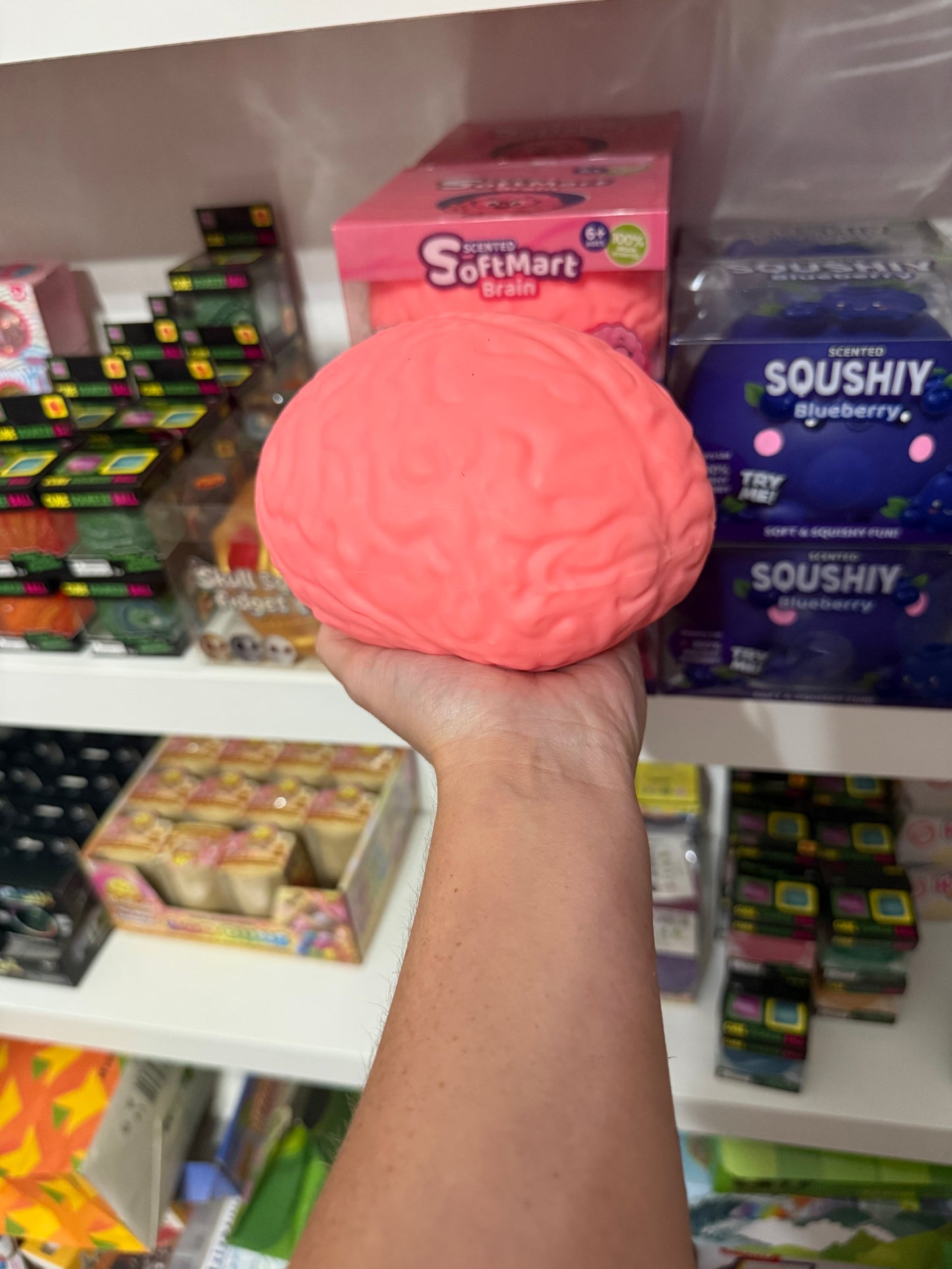 Squishy large brain