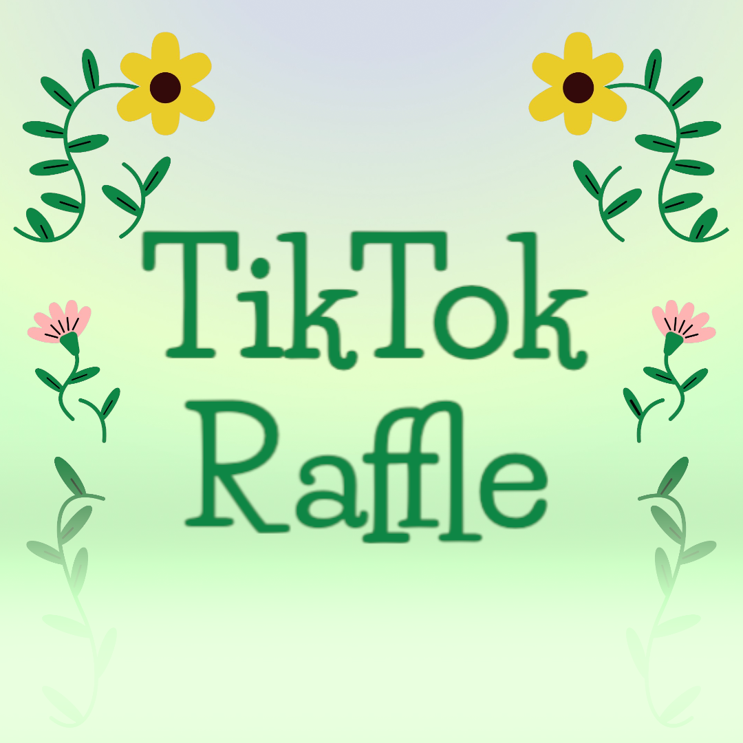 TikTok live Large Raffle scrunchem bundle