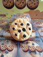 Crunchy cookie squishy