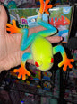 Stretchy red eyed tree frog